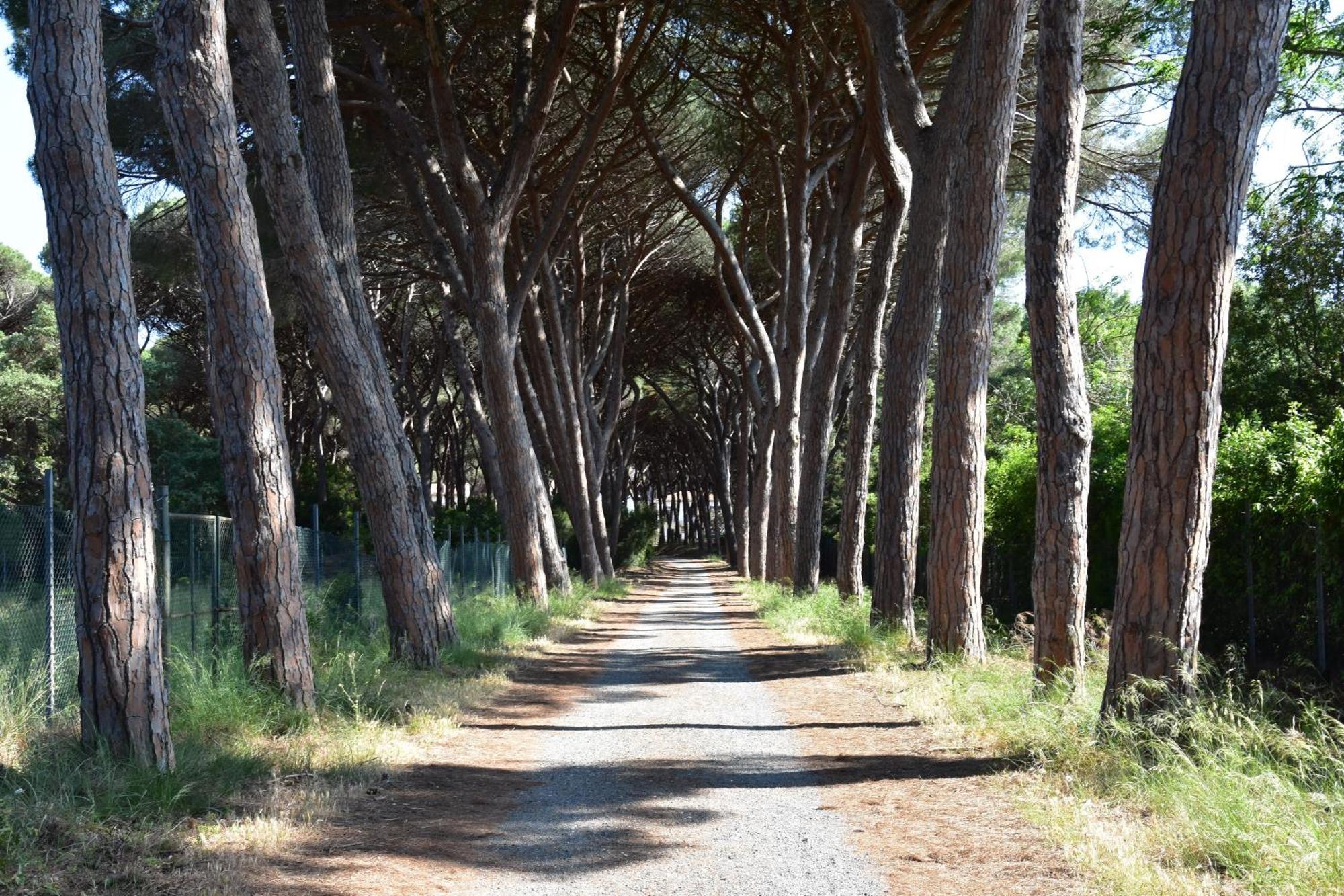 Tuscan Sunrise Porto Santo Stefano (Grosseto) Exterior foto